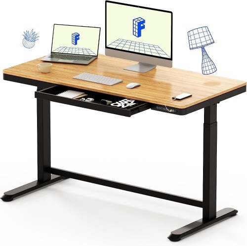 FLEXISPOT Comhar Electric Standing Desk with Drawer Desktop & Adjustable Frame, USB Charge Ports, Child Lock, 48 inch - Lot 60