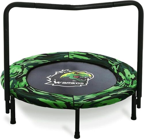 36" Dinosaur Mini Trampoline  - Lot 285
