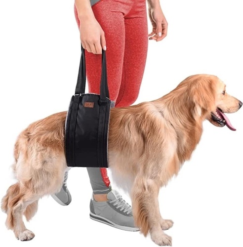 Dog Lift Sling Support Harness - Lot 341