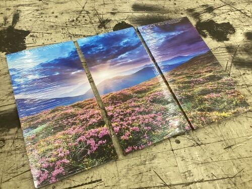 3 Panel Wall Art  - Lot 295