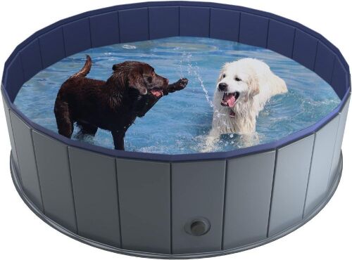 Niubya Collapsible Hard Plastic Dog Swimming Pool, 47 x 12 Inches  - Lot 504