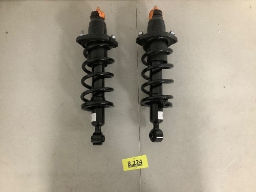 Complete Strut Assembly - Lot 8224