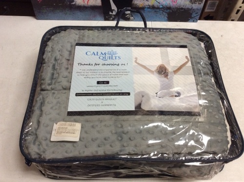 Weighted Blanket with Removable Minky Cover, 15 Lb - Appears New  - Lot 536