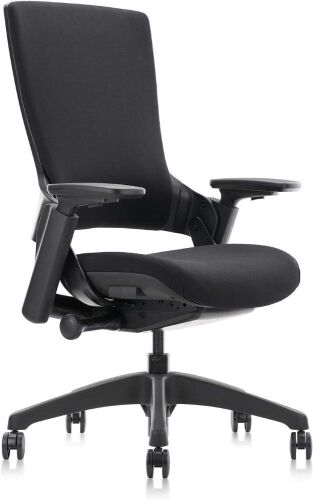 CLATINA Swivel Executive Computer Chair with 3D Armrest and Lumbar Support - Lot 372