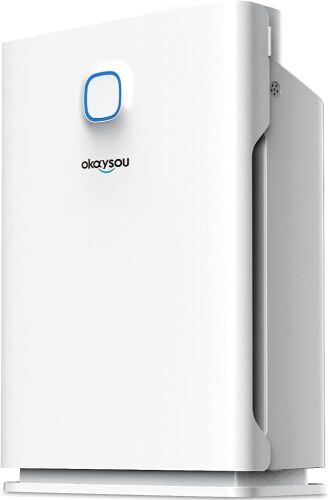 Okaysou AirMax10L Pro  Smart Air Purifier, Covers up to 1000 Sq.Ft - Lot 352