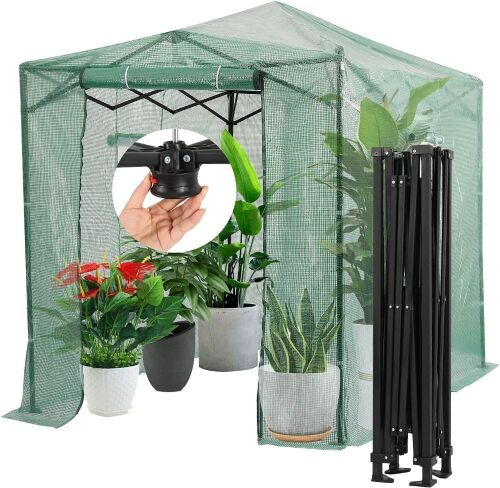 CROWN SHADES 8'x6' Instant Pop-up Walk-in Greenhouse - Lot 350