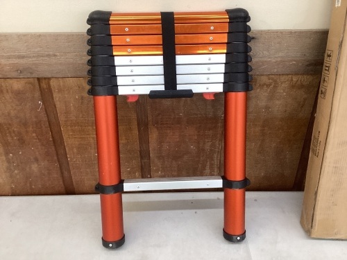 LuisLadders Telescopic Extension Ladder  - Lot 19
