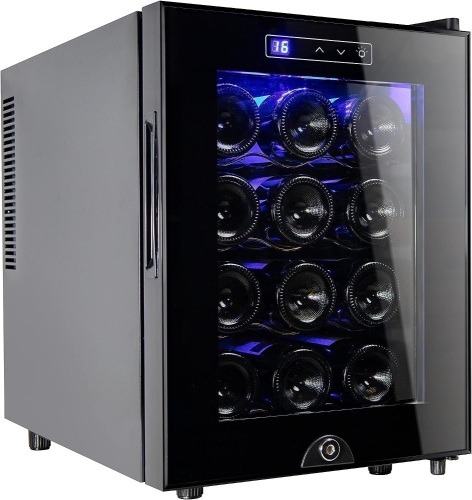 Miladred 12 Bottle Wine Cooler Refrigerator,Wine Fridge Freestanding with Lock & Digital Temperature Control Fridge Glass Door,Mini Wine Cabinet for Red... - Lot 404