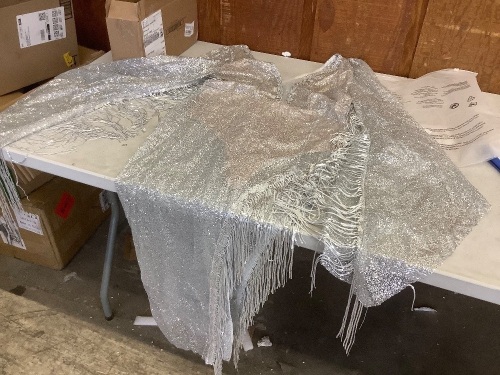 Shiny Silver Fringed Dress, XL - Lot 584