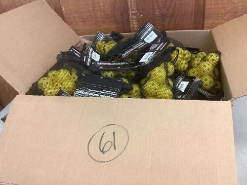 Lot of (61) CHAMPKEY Professional Practice Golf Balls, 12pk - Lot 650