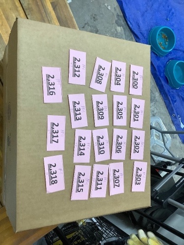 Amazon Mystery Box - Lot 2318