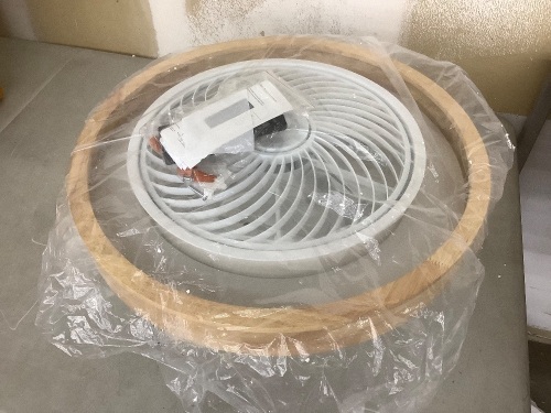 Ceiling Fan  - Lot 570