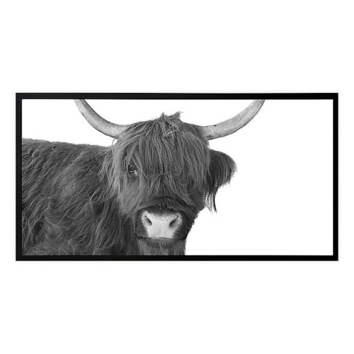 Scottish Highland Cow Framed Print, 25.57" x 49.57" - Appears New - Lot 101