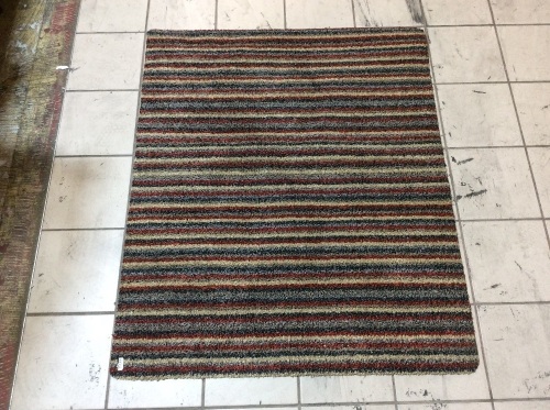 Striped Floor Mat - Appears New  - Lot 309