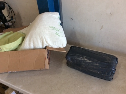 Lot of (2) Bamboo Pillows - Lot 613