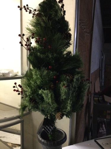 Tree - Lot 250