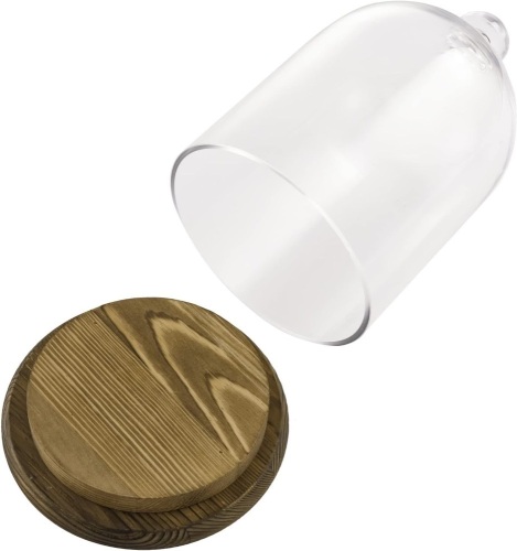 MyGift 10-inch Glass Dome Bell Jar Cloche Display Case with 2 Tone Solid Burnt Wood Base 6.45 x 6.45 x 10.23 inches - Lot 152