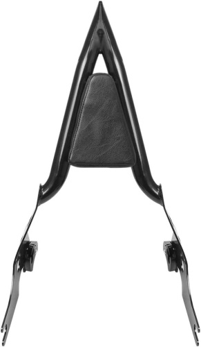 Motorcycle Vivid Black Detachable Rear Passenger Backrest Sissy Bar Cushion for 2004-later Harley Sportster XL  - Lot 455