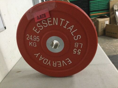 BalanceFrom Everyday Essentials 55 Pound Olympic Weight Plate - Lot 3878