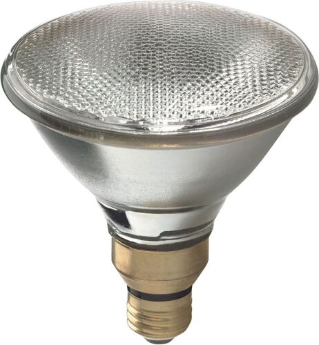 GE Lighting Halogen PAR38 Indoor and Outdoor Flood Light Bulbs, 80-Watts, 1600 Lumen, Medium Base, White, 2-Pack - Lot 4073