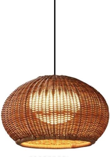 ZWPAYF Indoor/Outdoor Waterproof Pendant Lamp Fixture - Lot 186
