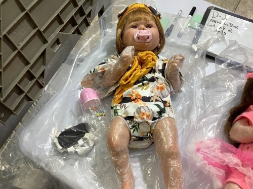 Lot of 2 Reborn Babies - Lot 883