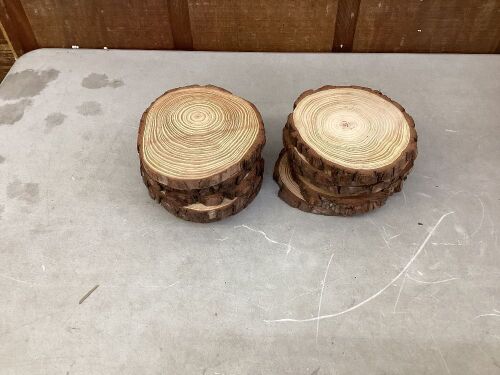 Lot of (12) Wood Slices  - Lot 509
