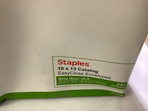 Staples 10X 13 Catalog EasyClose Envelopes White wove 250 envelopes - Lot 184