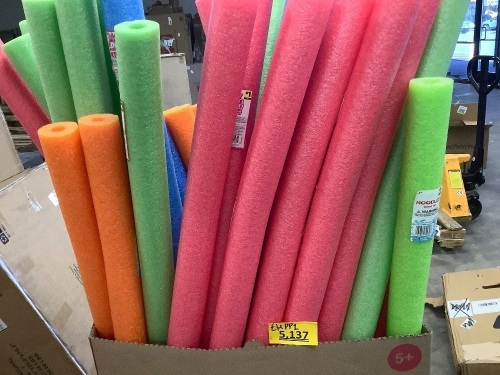 Pools Noodles Box - Lot 5137