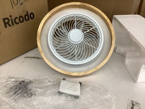 Ricardo 20" Ceiling Fan with Light  - Lot 600