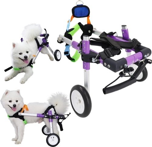 HobeyHove Adjustable Dog Wheelchair for Back Legs，Pet/Doggie Doggy Wheelchairs with Disabled Hind Legs Walking (XS-A) - Lot 88