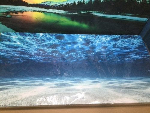 Lot of (3) Blue Ocean Canvas Prints - Lot 1125