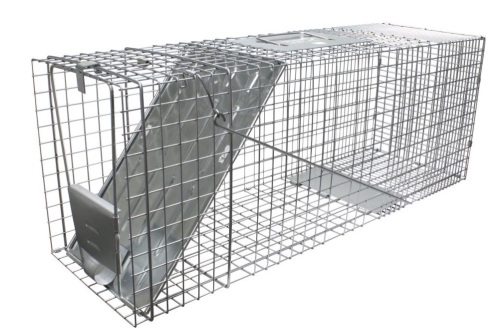 Havahart One-Door Live Catch Animal Trap - Lot 809