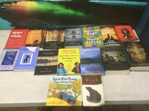 Lot of (16) Miscellaneous Books - Lot 507