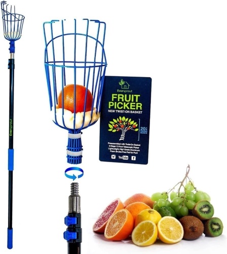 EVERSPROUT 12-Foot Fruit Picker (20+ Foot Reach) | Telescoping Fruit Picker Pole, Easy to Attach Twist-On Apple Basket | Lightweight, High-Grade Aluminum Extension Pole with Fruit Picker Basket - Lot 244
