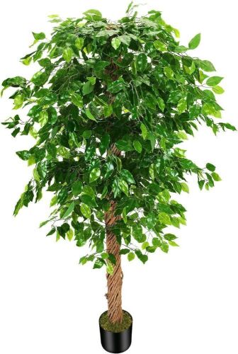 OXLLXO 6ft Artificial Ficus Silk Tree with Plastic Nursery Pot  - Lot 474