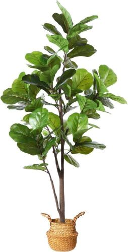 5.5' Artificial Fiddle Leaf Fig Tree  - Lot 421