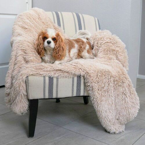 Alpha Paw PawProof Dog Throw Blanket 48" x 56"  - Lot 644