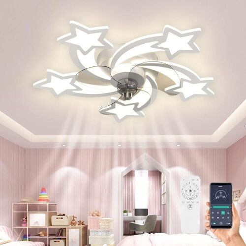 LEEAGLEGRY 28 inch Flush Mount Ceiling Fan with LED Lights - Lot 337