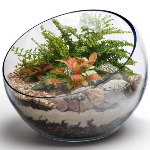 Glass Slanted Cut Asymmetrical Glass Bowl Vase Plant Terrarium Pod H-9.5 - Lot 140