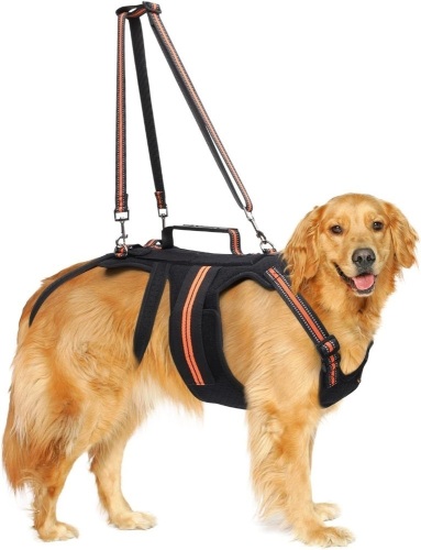 LOOBANI Dog Back Brace for Slipped Disc, Breathable Back Brace with Handle for Dogs Arthritis & IVDD, Adjustable Dog Back for Pain Relief, Surgical Recovery and Rehabilitation 2xl - Lot 331A