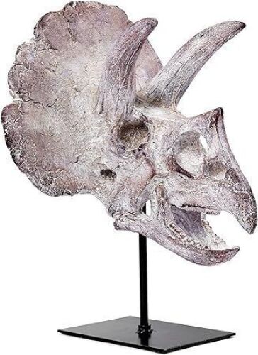 Ptosziav Triceratops Skull Replica  - Lot 297