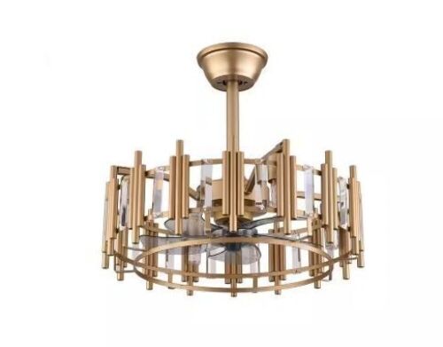 Caged Ceiling Fan with Light and Remote  - Lot 305