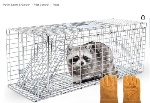 SAFETRAP Large Cage Trap for Live Animals + Bite Proof Gloves - 32" One-Door Humane Live Cage - Heavy Duty Animal Trap - Ideal to Catch & Release Raccoon, Chipmunk, Rabbit, Groundhog, Cat - Lot 198