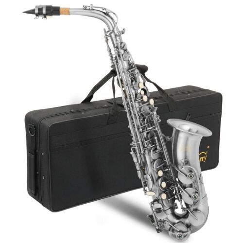 Glarry Student Eb Flat Vintage Alto Saxophone Vintage Sliver  - Lot 82