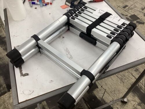Telescopic Ladder - Lot 709