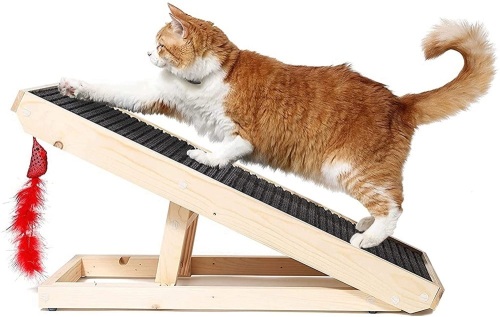 Alpha Paw ScratchyRamp - Lot 501