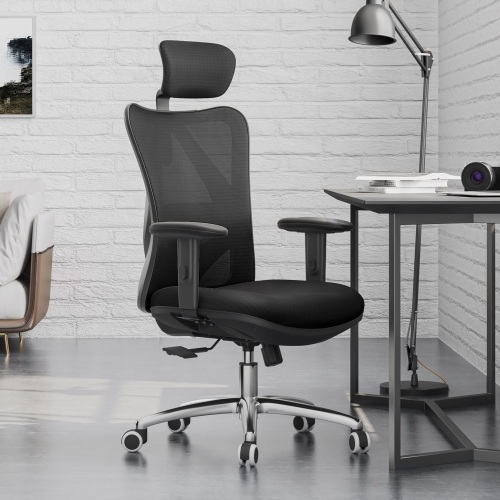 SIHOO Ergonomic Office Chair - Lot 377