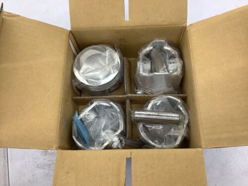 YCP Pistons with Rings - Lot 412
