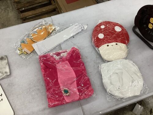 Kids Princess Peach and Toad Costumes - Lot 667
